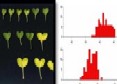 Phenome