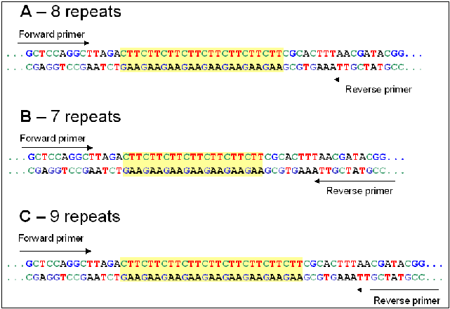 PCR primers is indicated.